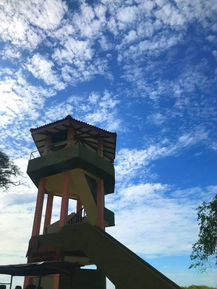 The Kumana Villu observation tower seen from below against a blue sky with scattered cloud.